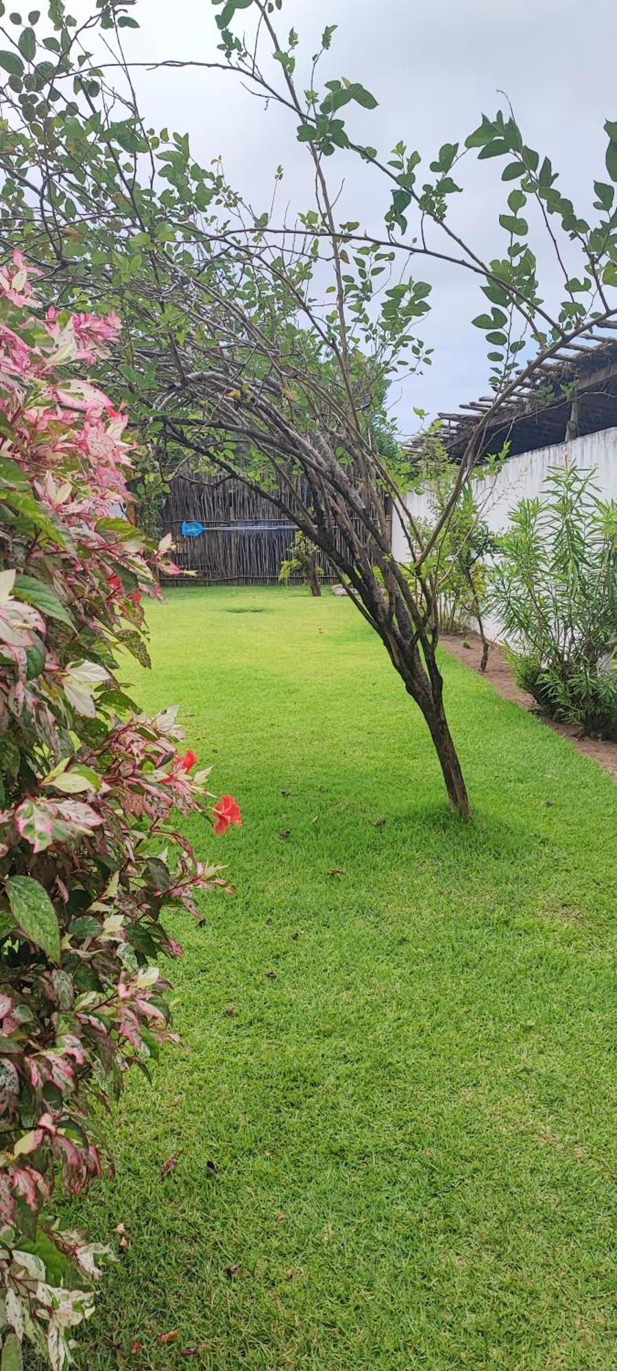 Pousada Sunshine Patacho Rota Ecologica Dos Milagres ปอร์โต เด เปดราส ภายนอก รูปภาพ