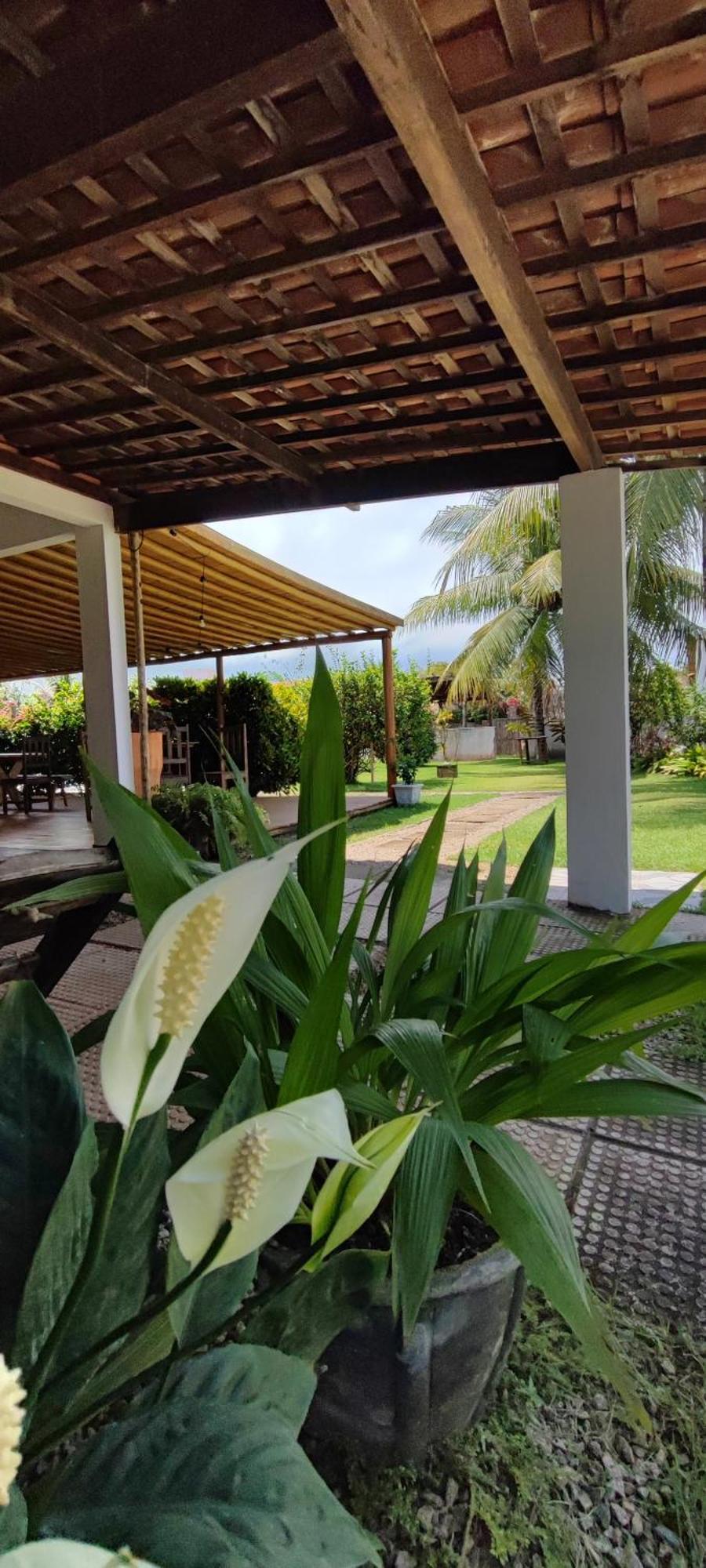 Pousada Sunshine Patacho Rota Ecologica Dos Milagres ปอร์โต เด เปดราส ภายนอก รูปภาพ